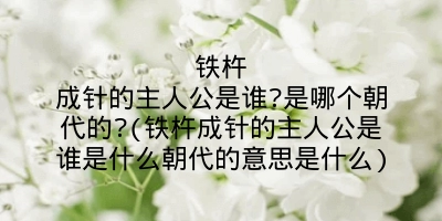 铁杵成针的主人公是谁?是哪个朝代的?(铁杵成针的主人公是谁是什么朝代的意思是什么)