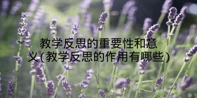 教学反思的重要性和意义(教学反思的作用有哪些)