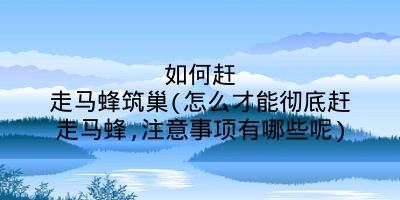 如何赶走马蜂筑巢(怎么才能彻底赶走马蜂,注意事项有哪些呢)