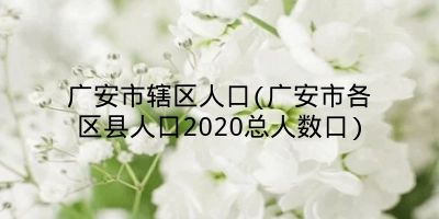 广安市辖区人口(广安市各区县人口2020总人数口)