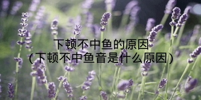 下顿不中鱼的原因(下顿不中鱼音是什么原因)