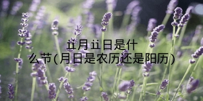 ⅱ月ⅱ日是什么节(月日是农历还是阳历)