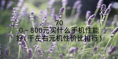 700～800元买什么手机性能好(千左右元机性价比排行)