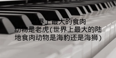 世界上最大的食肉动物是老虎(世界上最大的陆地食肉动物是海豹还是海狮)