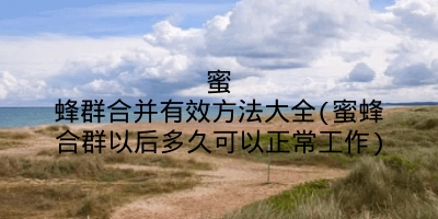 蜜蜂群合并有效方法大全(蜜蜂合群以后多久可以正常工作)