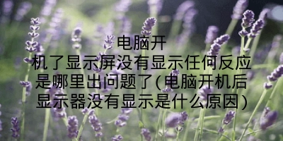 电脑开机了显示屏没有显示任何反应是哪里出问题了(电脑开机后显示器没有显示是什么原因)