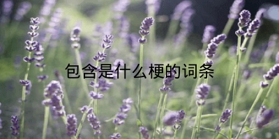 包含是什么梗的词条