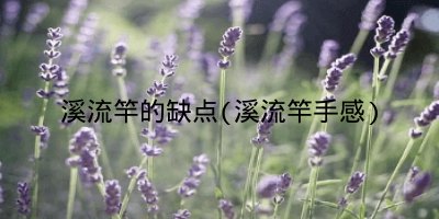 溪流竿的缺点(溪流竿手感)