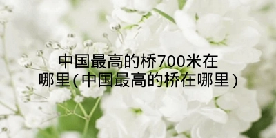 中国最高的桥700米在哪里(中国最高的桥在哪里)