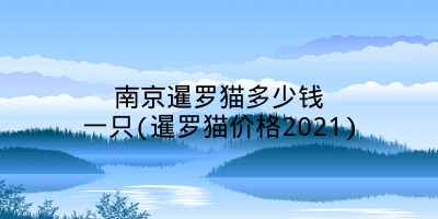 南京暹罗猫多少钱一只(暹罗猫价格2021)