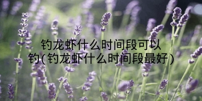 钓龙虾什么时间段可以钓(钓龙虾什么时间段最好)