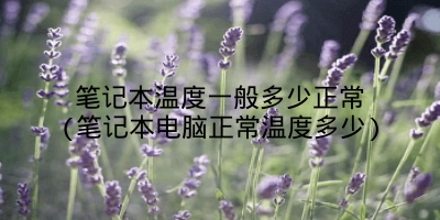 笔记本温度一般多少正常(笔记本电脑正常温度多少)