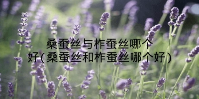 桑蚕丝与柞蚕丝哪个好(桑蚕丝和柞蚕丝哪个好)