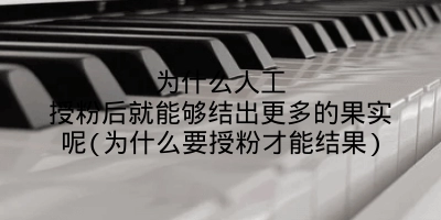 为什么人工授粉后就能够结出更多的果实呢(为什么要授粉才能结果)