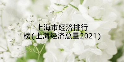 上海市经济排行榜(上海经济总量2021)