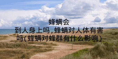 蜂螨会到人身上吗,蜂螨对人体有害吗(蜂螨对蜂群有什么影响)