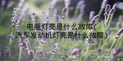 电瓶灯亮是什么故障(汽车发动机灯亮是什么故障)