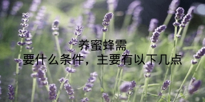 养蜜蜂需要什么条件，主要有以下几点