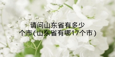 请问山东省有多少个市(山东省有哪17个市)