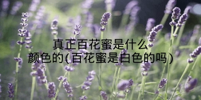 真正百花蜜是什么颜色的(百花蜜是白色的吗)