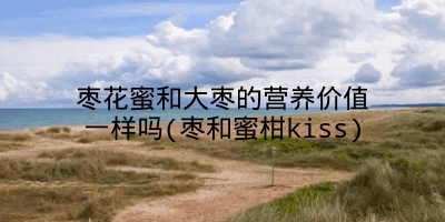 枣花蜜和大枣的营养价值一样吗(枣和蜜柑kiss)