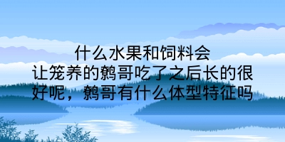 什么水果和饲料会让笼养的鹩哥吃了之后长的很好呢，鹩哥有什么体型特征吗