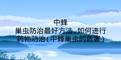 中蜂巢虫防治最好方法,如何进行药物防治(中蜂巢虫的危害)