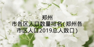 郑州市各区人口数量排名(郑州各市区人口2019总人数口)