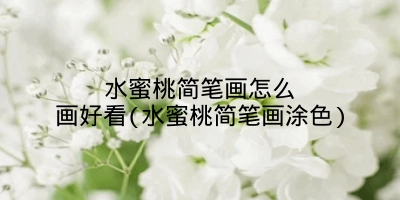 水蜜桃简笔画怎么画好看(水蜜桃简笔画涂色)