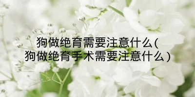 狗做绝育需要注意什么(狗做绝育手术需要注意什么)