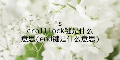 scrolllock键是什么意思(end键是什么意思)