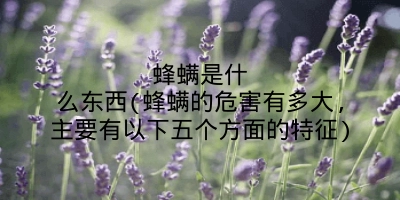 蜂螨是什么东西(蜂螨的危害有多大,主要有以下五个方面的特征)