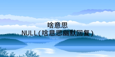 啥意思NULL(啥意思幽默回复)