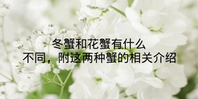 冬蟹和花蟹有什么不同，附这两种蟹的相关介绍