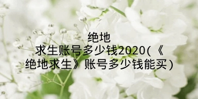 绝地求生账号多少钱2020(《绝地求生》账号多少钱能买)