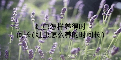 红虫怎样养得时间长(红虫怎么养的时间长)