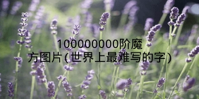 100000000阶魔方图片(世界上最难写的字)