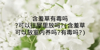 含羞草有毒吗?可以往屋里放吗?(含羞草可以放室内养吗?有毒吗?)