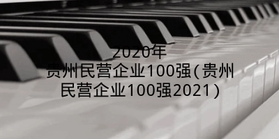 2020年贵州民营企业100强(贵州民营企业100强2021)