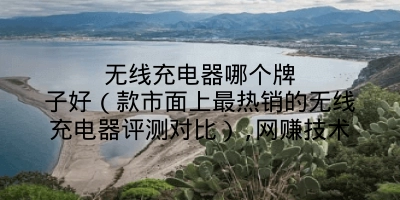 无线充电器哪个牌子好（款市面上最热销的无线充电器评测对比）,网赚技术