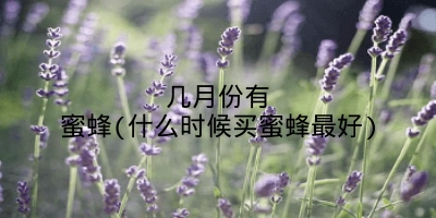 几月份有蜜蜂(什么时候买蜜蜂最好)