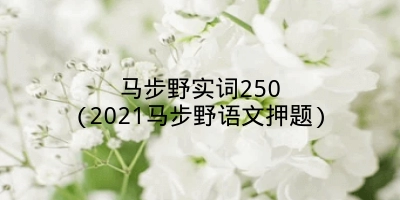 马步野实词250(2021马步野语文押题)