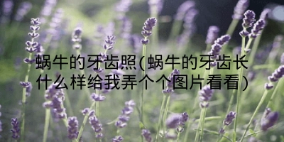 蜗牛的牙齿照(蜗牛的牙齿长什么样给我弄个个图片看看)