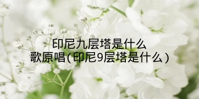 印尼九层塔是什么歌原唱(印尼9层塔是什么)