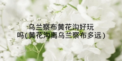 乌兰察布黄花沟好玩吗(黄花沟离乌兰察布多远)