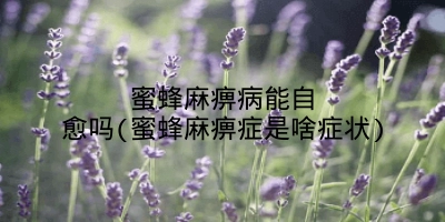 蜜蜂麻痹病能自愈吗(蜜蜂麻痹症是啥症状)