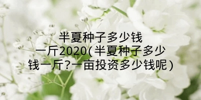 半夏种子多少钱一斤2020(半夏种子多少钱一斤?一亩投资多少钱呢)