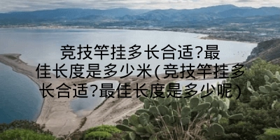 竞技竿挂多长合适?最佳长度是多少米(竞技竿挂多长合适?最佳长度是多少呢)