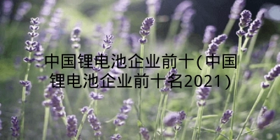 中国锂电池企业前十(中国锂电池企业前十名2021)