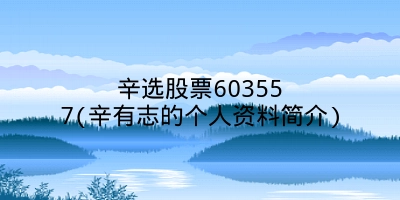 辛选股票603557(辛有志的个人资料简介)